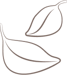 Certified 100% Organic Cotton Yarn